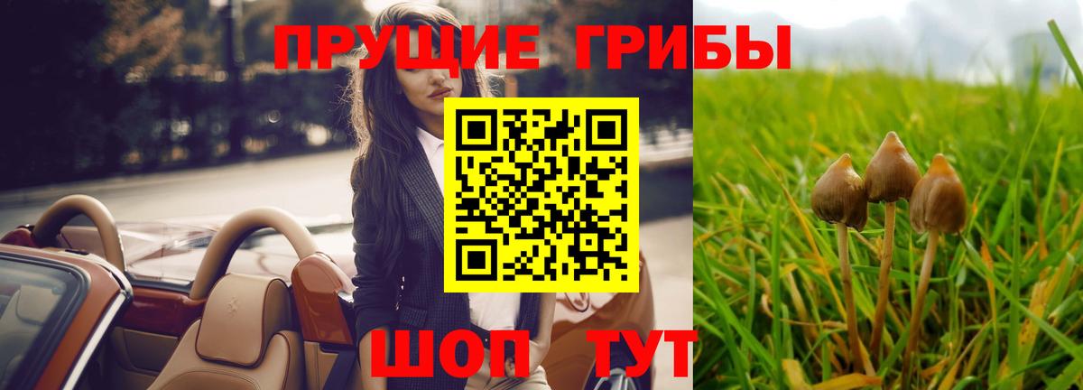 Кувандык  Псилоцибиновые грибы мухоморы  Вход с VPN 